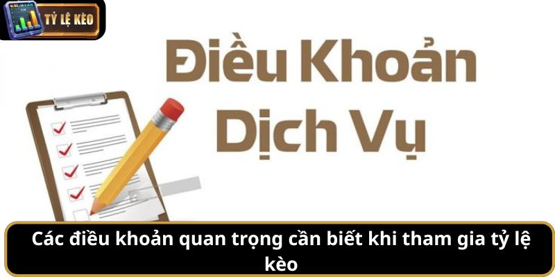 Điều khoản điều kiện 2 điều khoản điều kiện