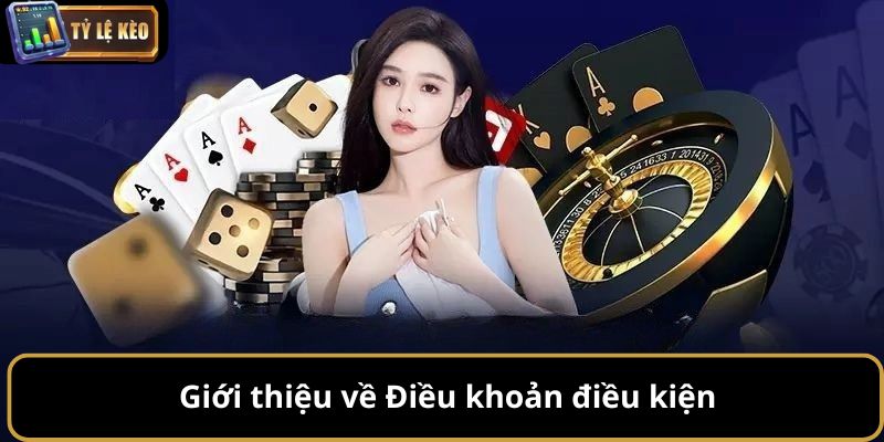 Điều khoản điều kiện 1 điều khoản điều kiện