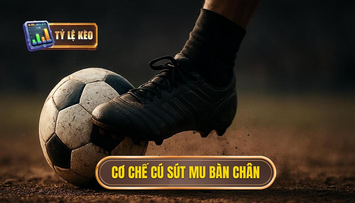 Nền tảng cơ học của cú sút mu bàn chân