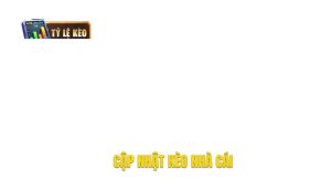 thumb - cập nhật kèo nhà cái