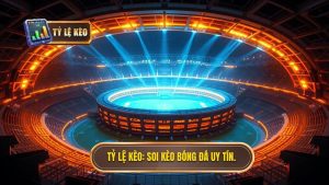Soi Kèo Bóng Đá Uy Tín: Chìa Khóa Vàng Để Chinh Phục Mọi Trận Đấu